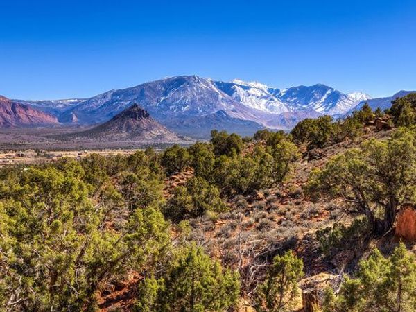 95 BAILEY LN , Unit 95, Castle Valley, UT 84532