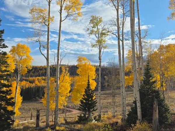 Unit 10, Annabella, UT 84711