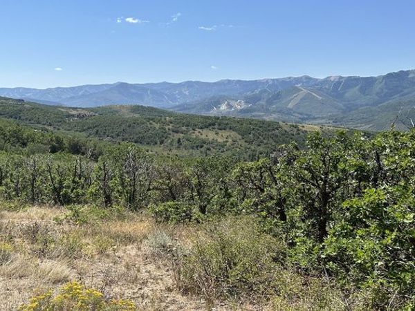 1950 W RED HAWK TRL, Unit #3, Snyderville, UT 84098