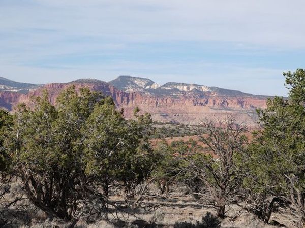 1115 E DONKEY FLATS RD , Teasdale, UT 84773