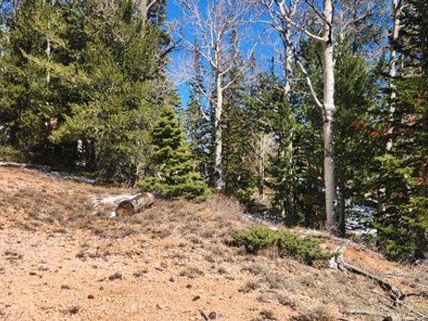 590 W KOKAPELLI , Brian Head, UT 84719