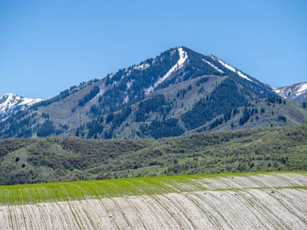 Mendon, UT 84325