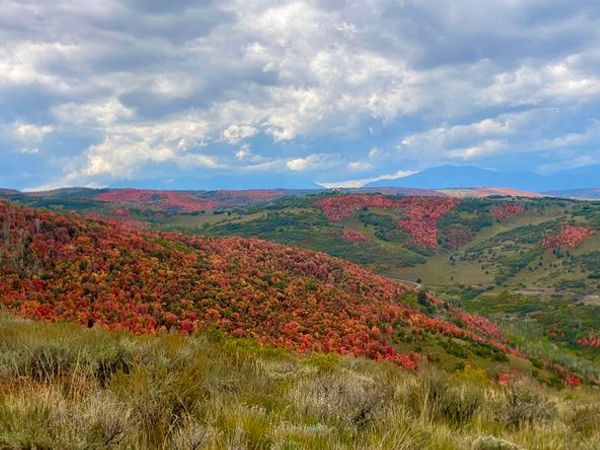 Unit 1336, Woodland, UT 84036