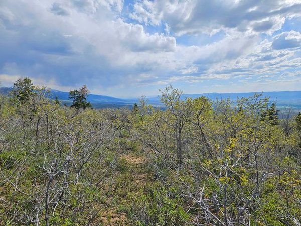 1246 E NORTH FORK RD S, Unit 1246, Fairview, UT 84629
