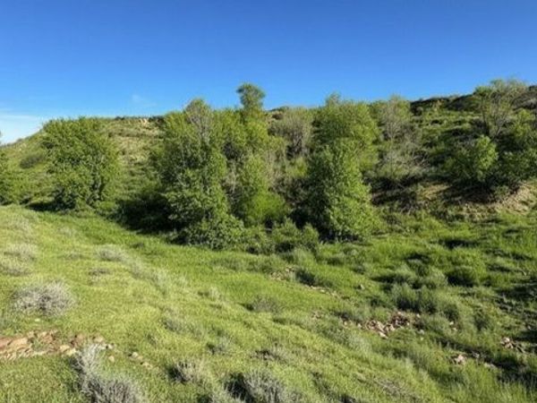 Upalco, UT 84007