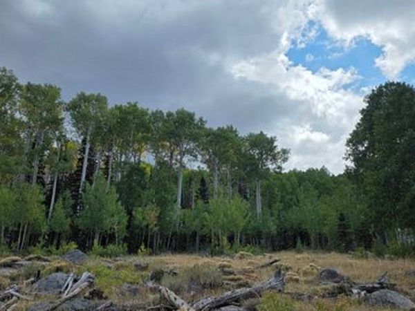 Unit 28, Annabella, UT 84711