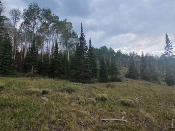 Unit 26, Annabella, UT 84711