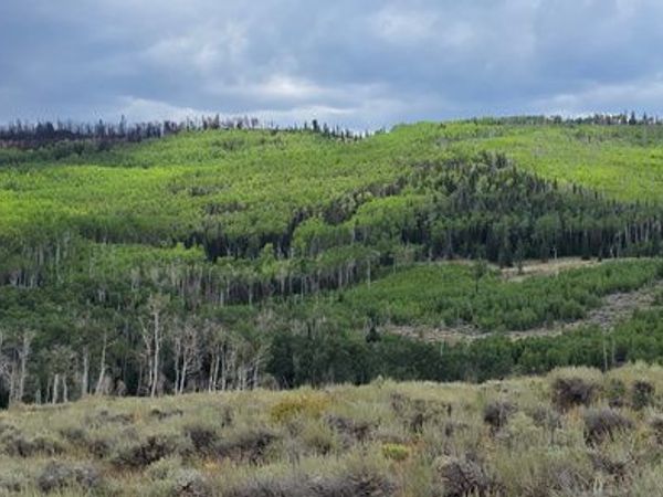 Unit 27, Annabella, UT 84711