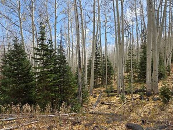 Unit 19, Annabella, UT 84711