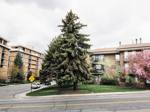 939 S DONNER WAY E, Unit 101, Salt Lake City, UT 84108