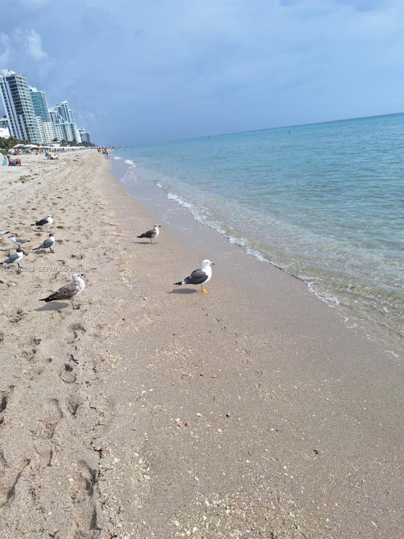 2030 S Ocean Dr , Unit 1812, Hallandale Beach, FL 33009 Photo