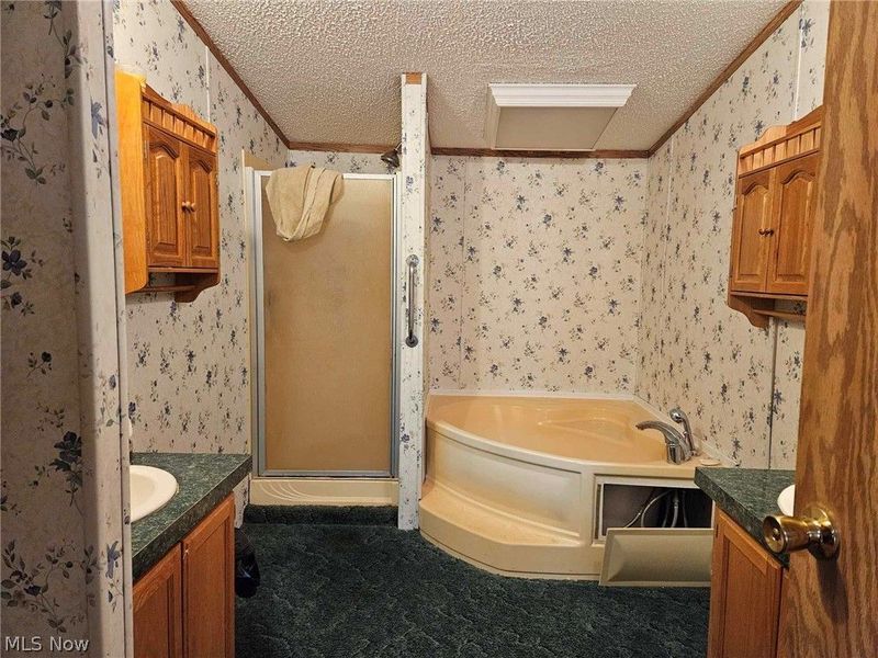 10039 State Route 700 Lot 118, Mantua, OH 44255 Photo 10