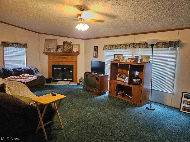 10039 State Route 700 Lot 118, Mantua, OH 44255 Photo 13
