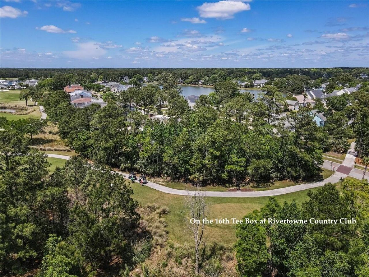 2736 Canebreak Lane Photo 4