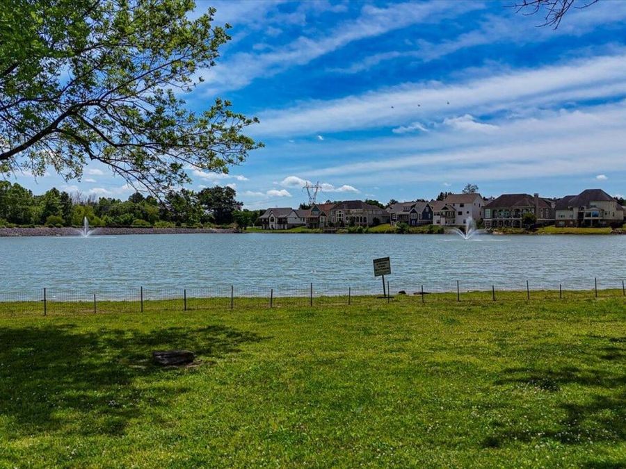 Property Image 64