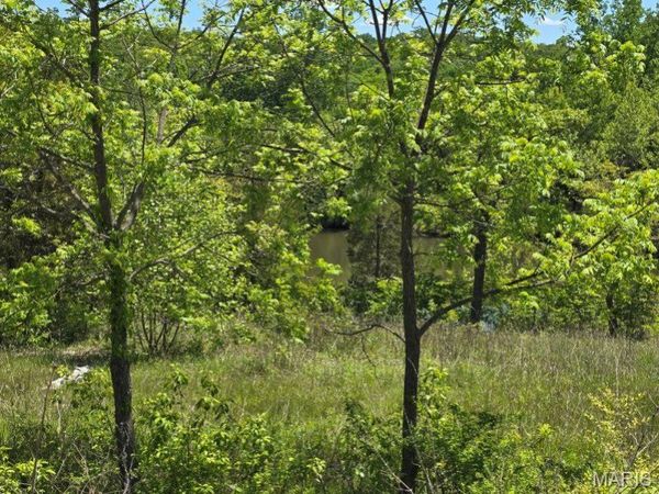 10452 Lake Crest Drive , Hillsboro, MO 63050