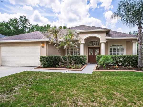 18220 STILLWELL LANE, TAMPA, FL 33647