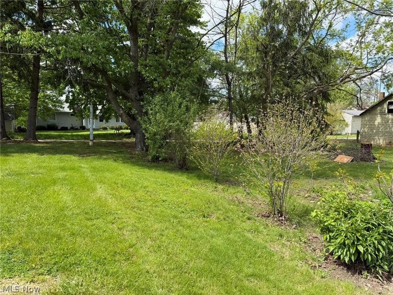 59 W Buckeye Street, West Salem, OH 44287 Photo 27