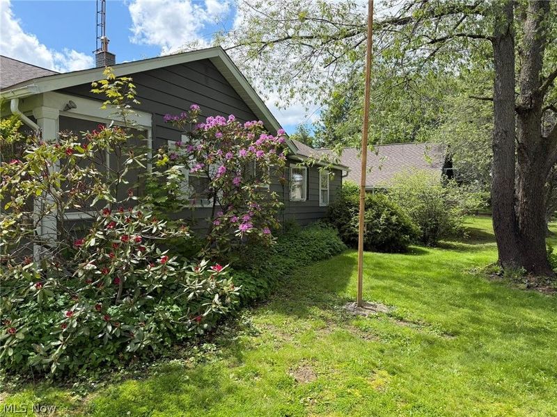 59 W Buckeye Street, West Salem, OH 44287 Photo 4