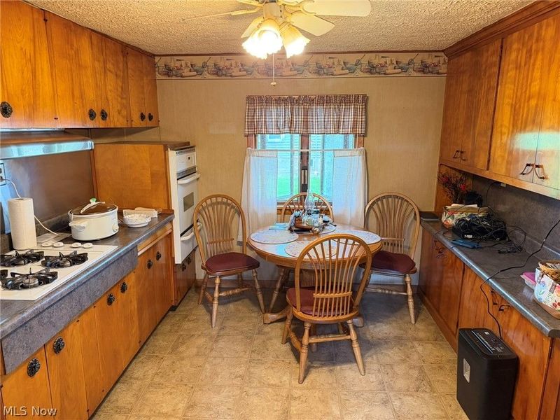 59 W Buckeye Street, West Salem, OH 44287 Photo 6