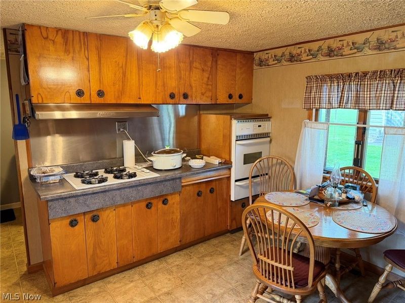 59 W Buckeye Street, West Salem, OH 44287 Photo 7