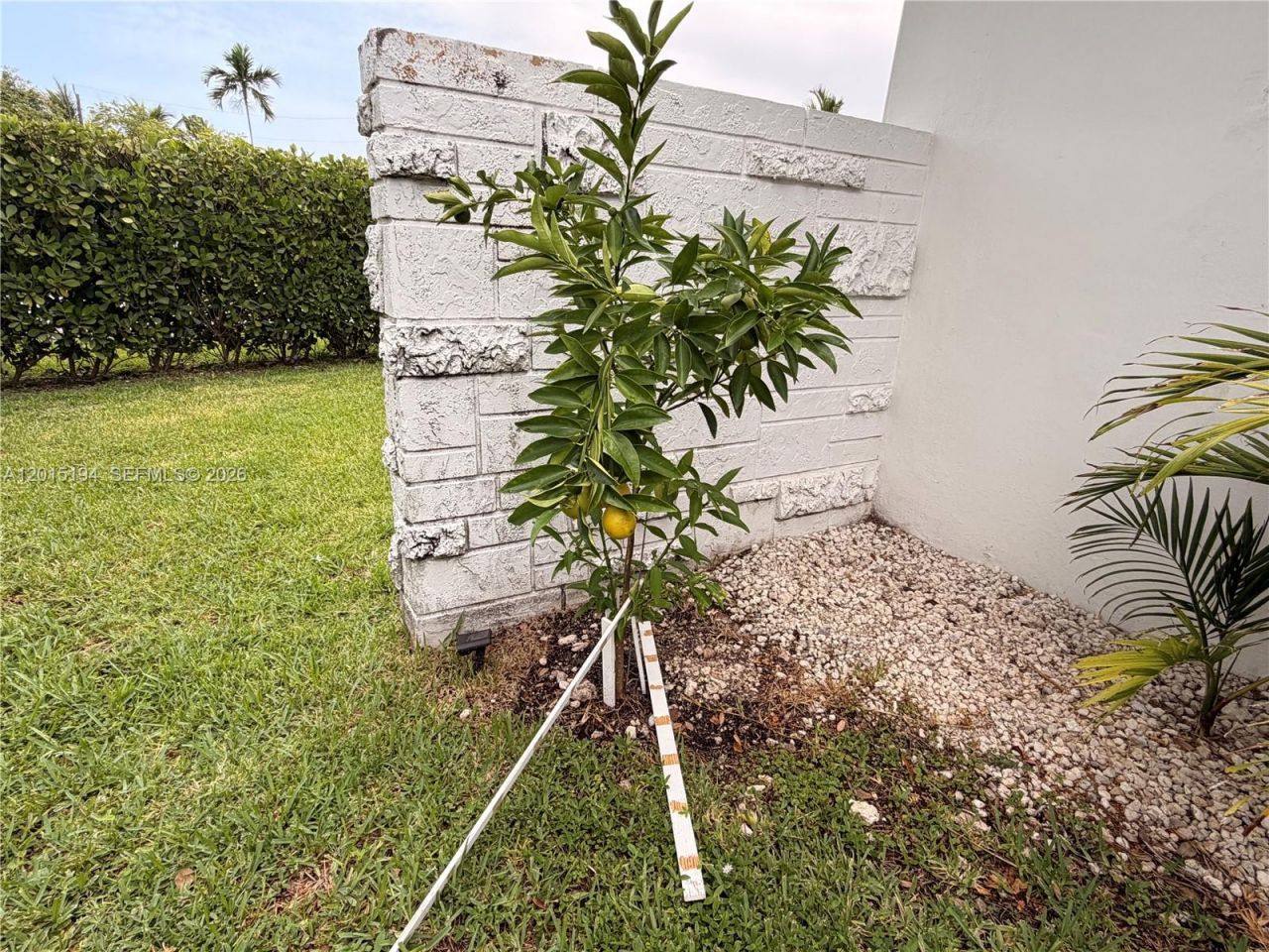 11445 N Bayshore Dr, North Miami, FL 33181 Photo
