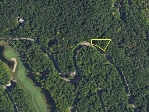 218 Hawks Eye Drive, Bellaire, MI 49615