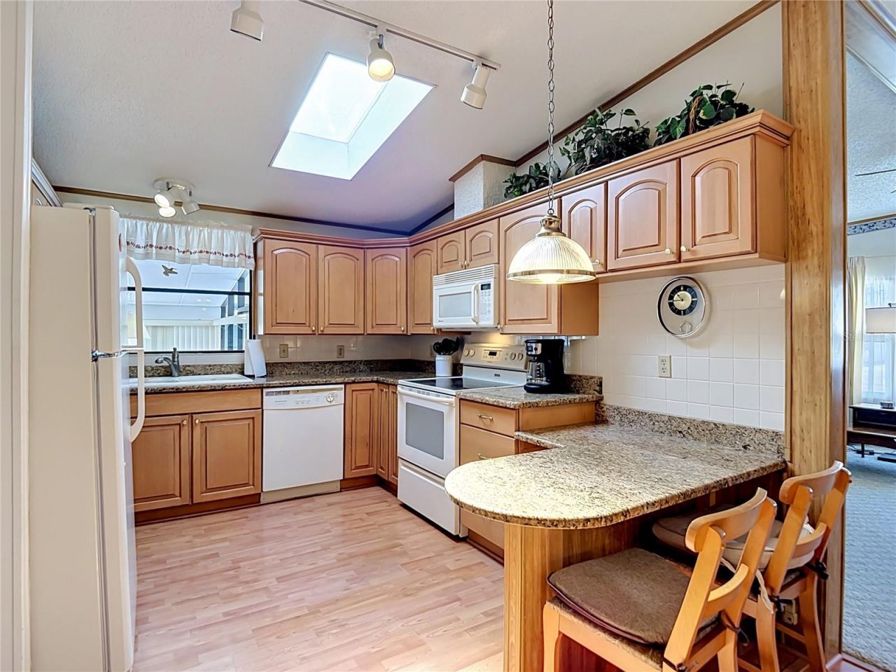35801 Brisa Drive, Zephyrhills, FL 33541 Photo
