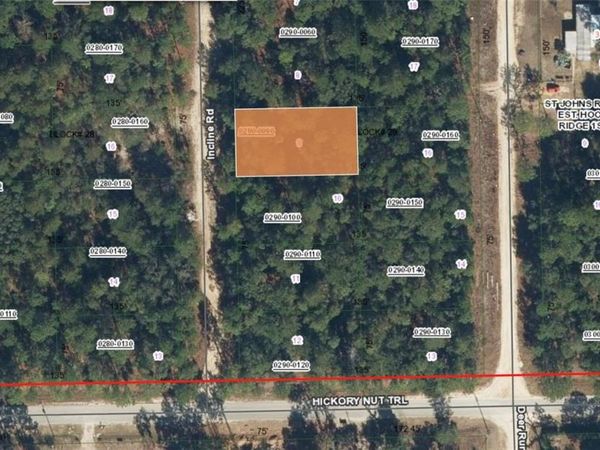 416 INCLINE ROAD , SATSUMA, FL 32189