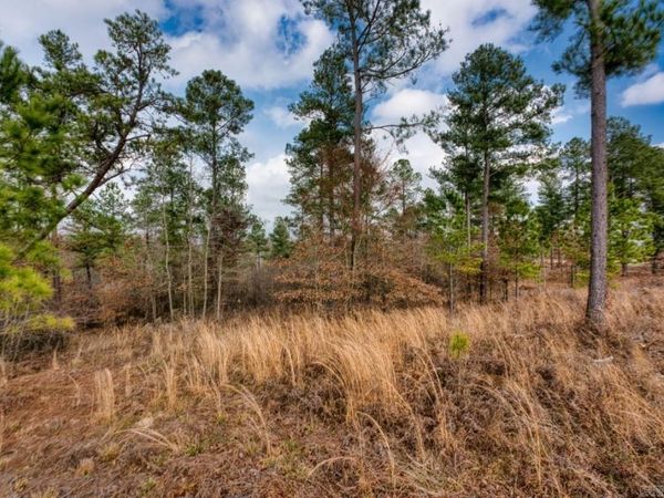 19 Lookout Lane , Kirby, AR 71950