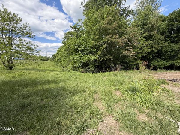316 Wiley Town Road, Newport, TN 37821