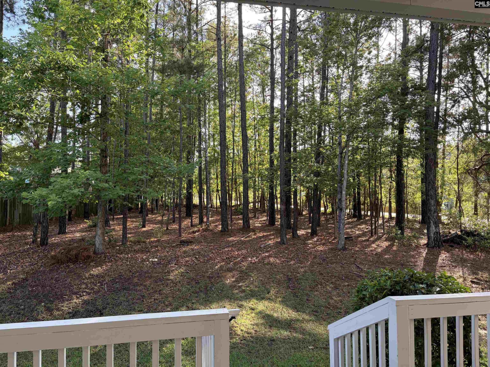 307 Brookridge Drive Photo 9