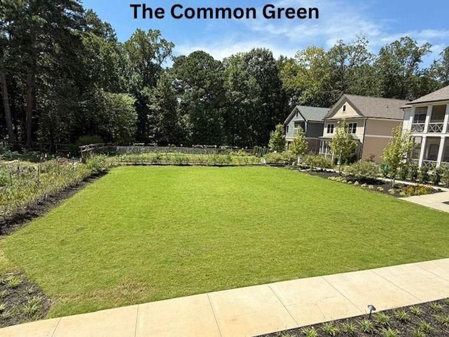 Property Image 80