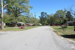 516 Rosewood Drive photo 4