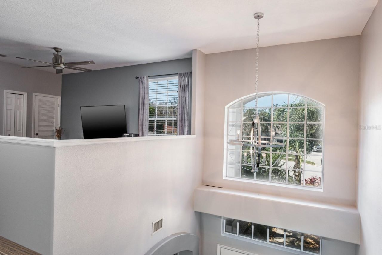 4037 Auston Way , Palm Harbor, FL 34685 Photo