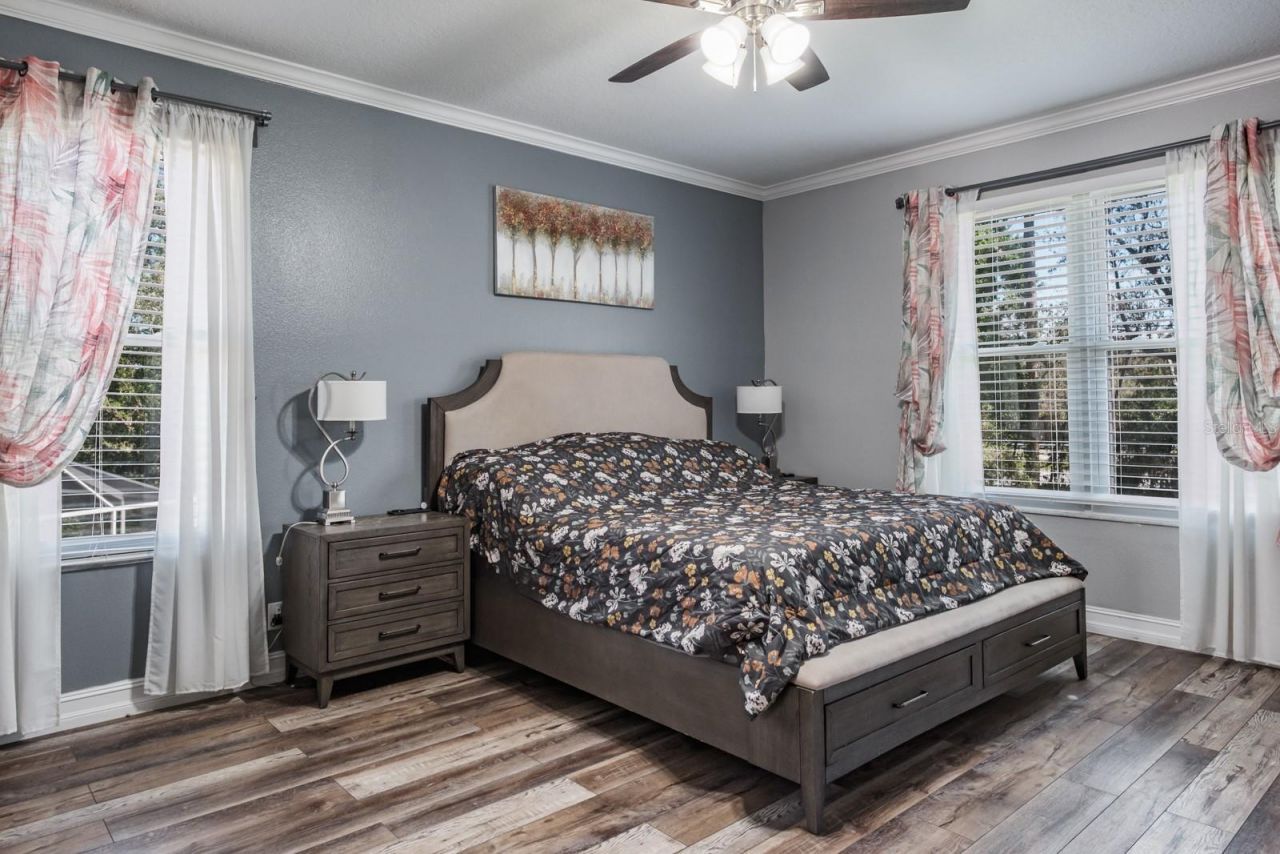 4037 Auston Way , Palm Harbor, FL 34685 Photo