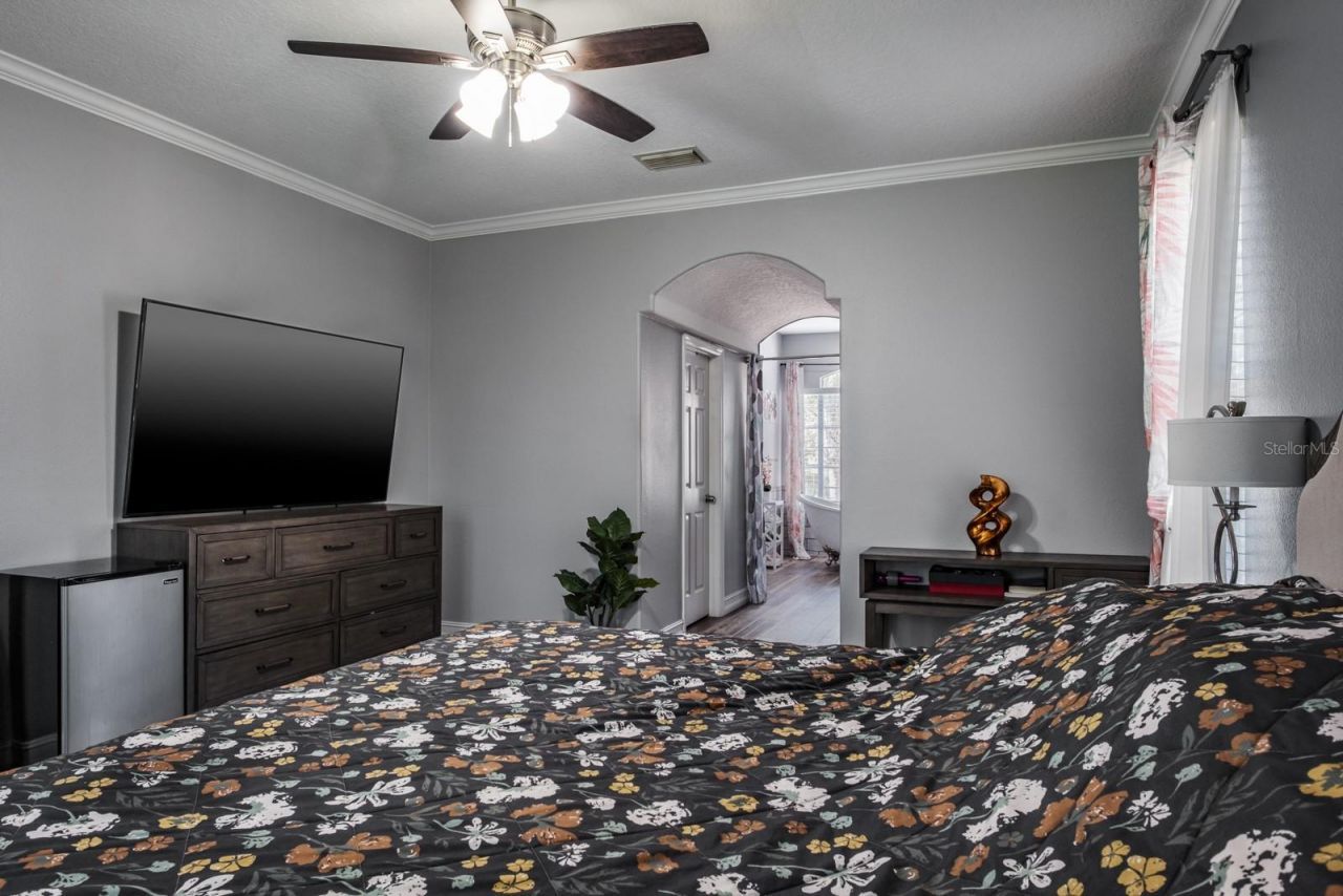 4037 Auston Way , Palm Harbor, FL 34685 Photo