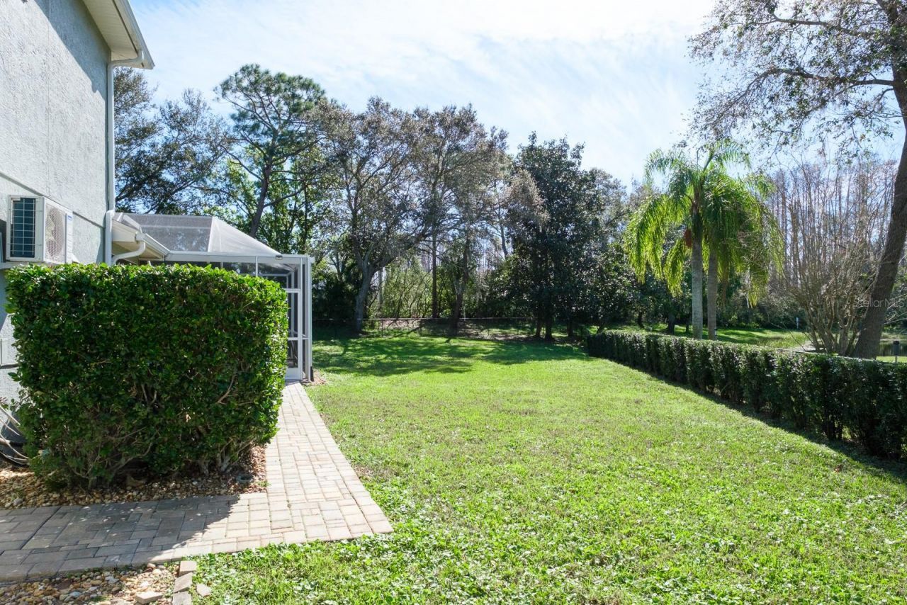 4037 Auston Way , Palm Harbor, FL 34685 Photo