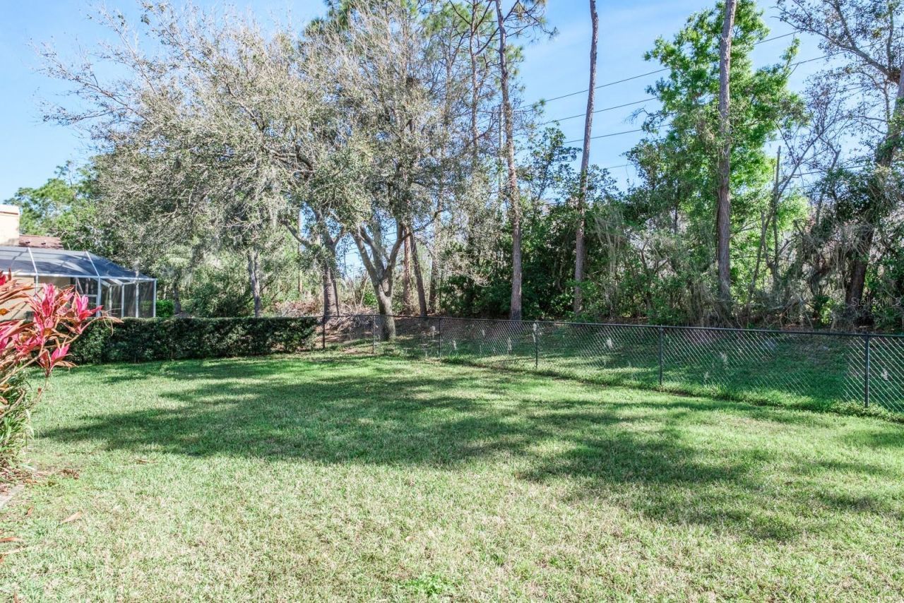 4037 Auston Way , Palm Harbor, FL 34685 Photo