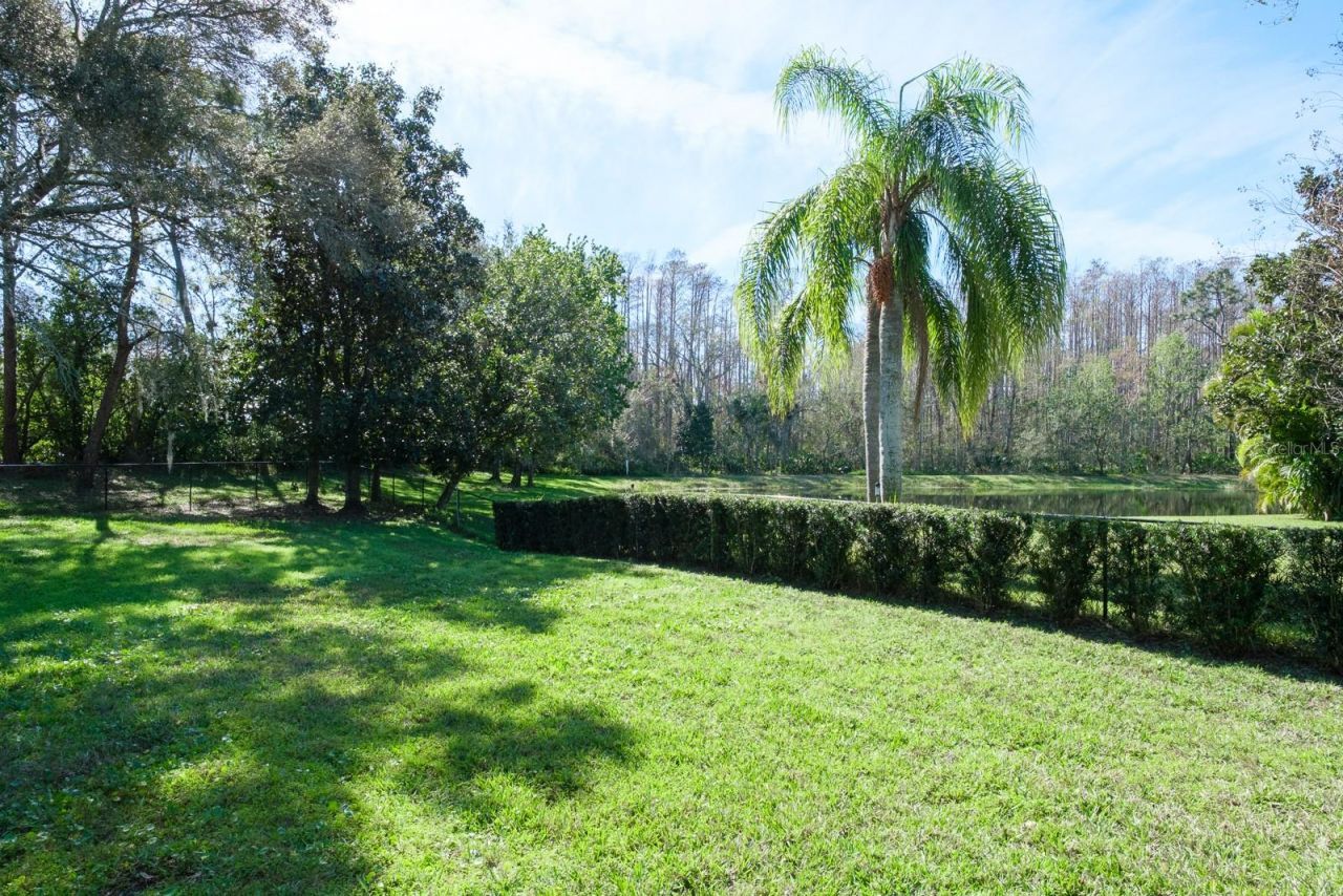 4037 Auston Way , Palm Harbor, FL 34685 Photo