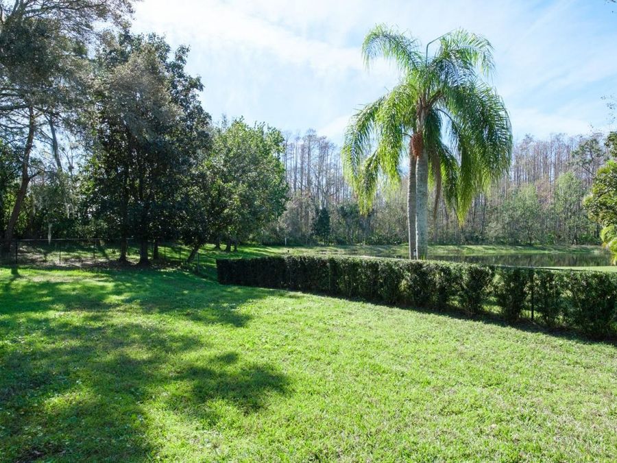 Property Image 88