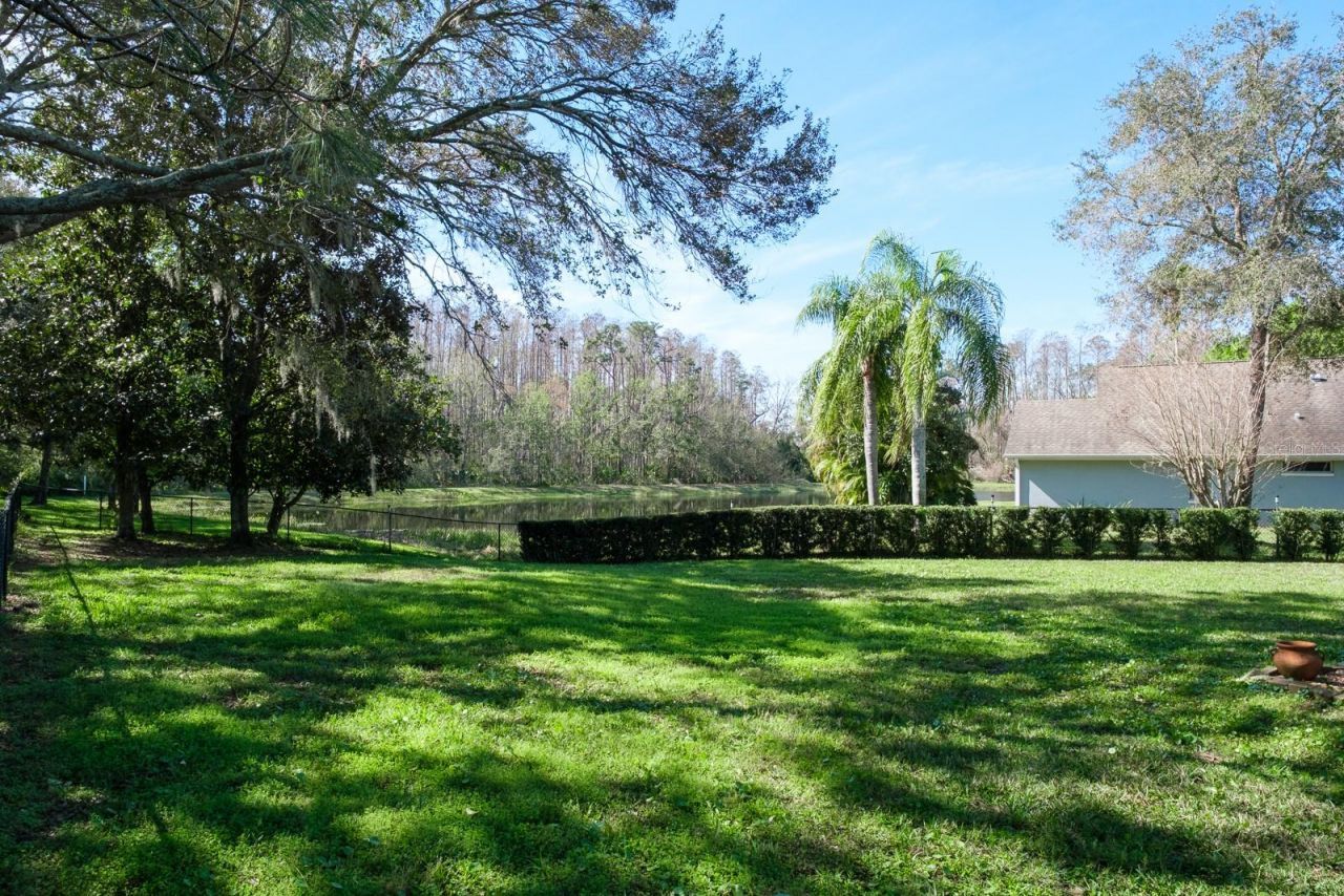 4037 Auston Way , Palm Harbor, FL 34685 Photo