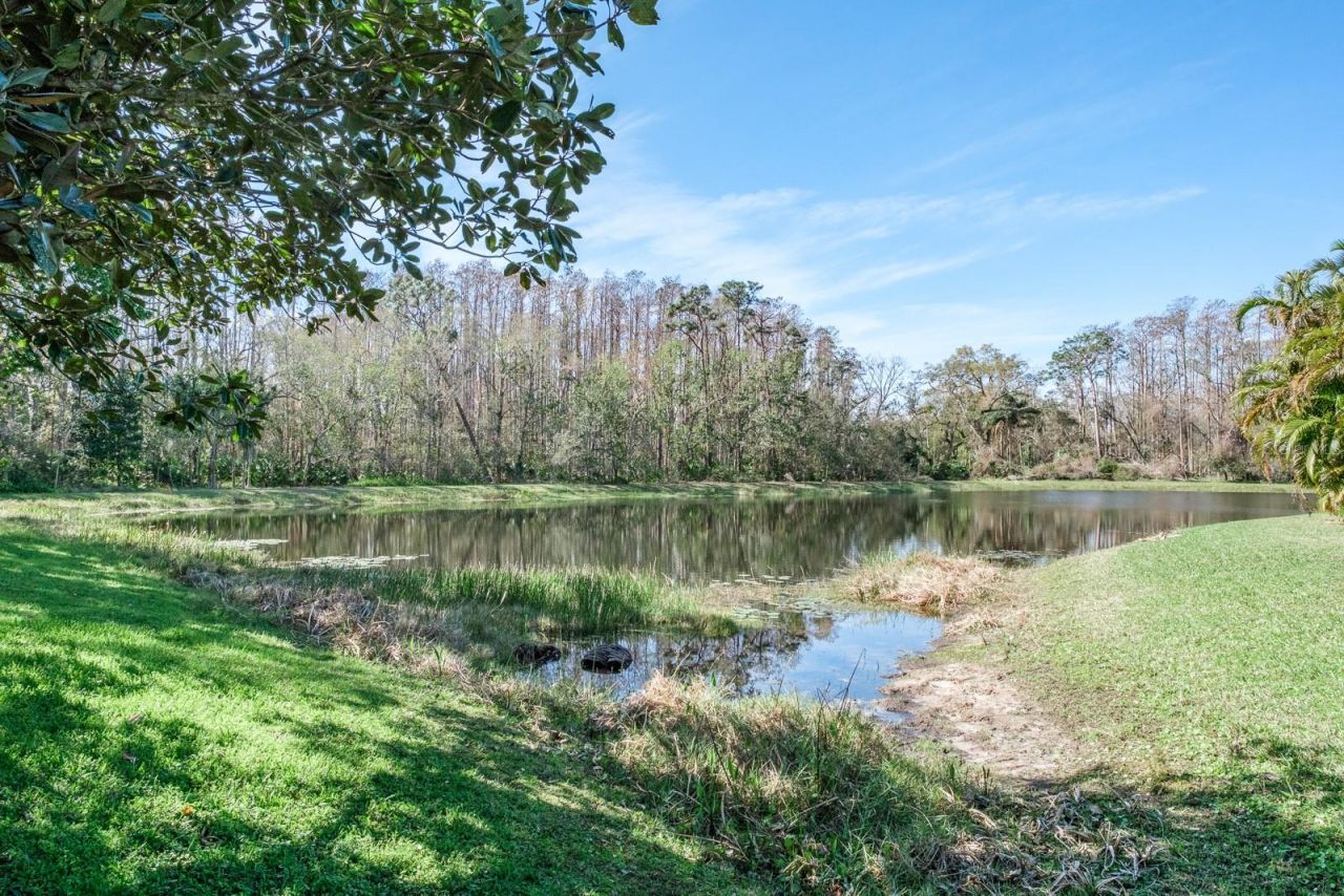 4037 Auston Way , Palm Harbor, FL 34685 Photo