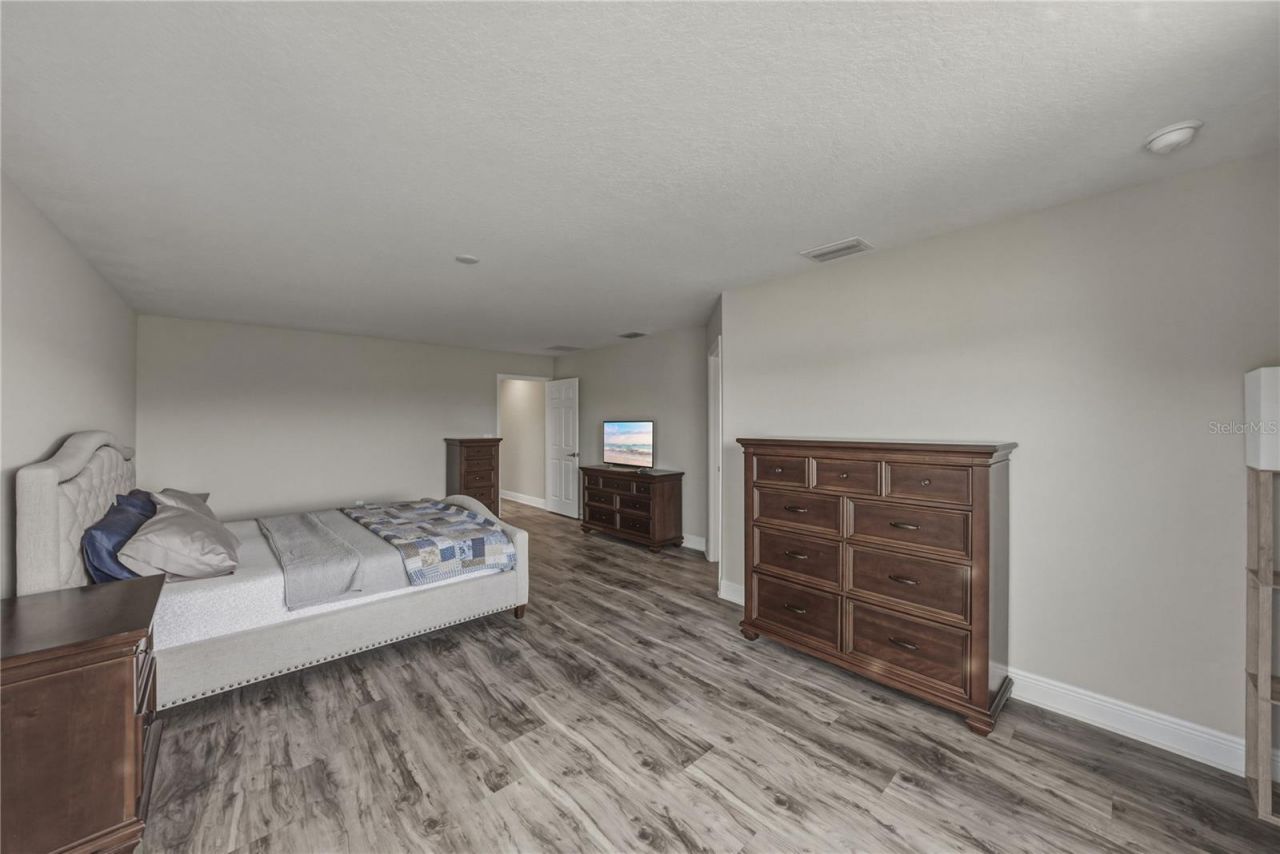 14633 Red Castle Avenue, Lithia, FL 33547 Photo