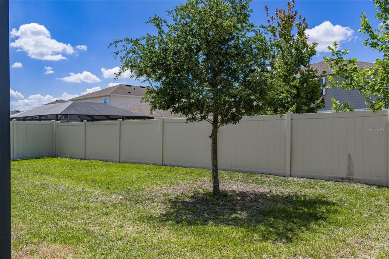 14633 Red Castle Avenue, Lithia, FL 33547 Photo