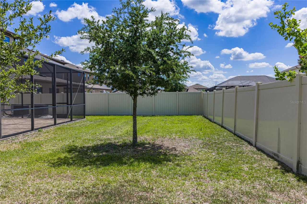 14633 Red Castle Avenue, Lithia, FL 33547 Photo