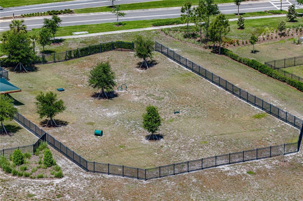 14633 Red Castle Avenue, Lithia, FL 33547 Photo
