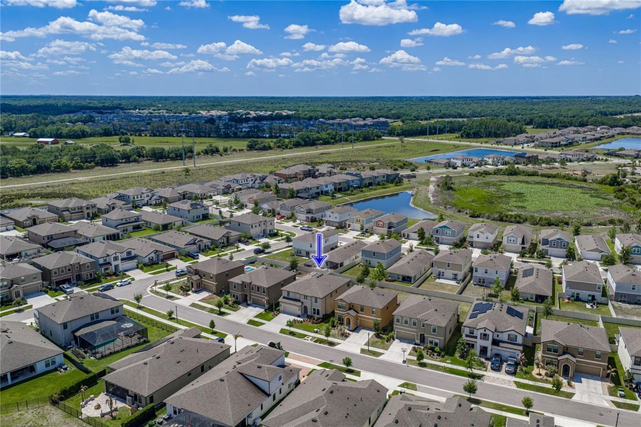 14633 Red Castle Avenue, Lithia, FL 33547 Photo