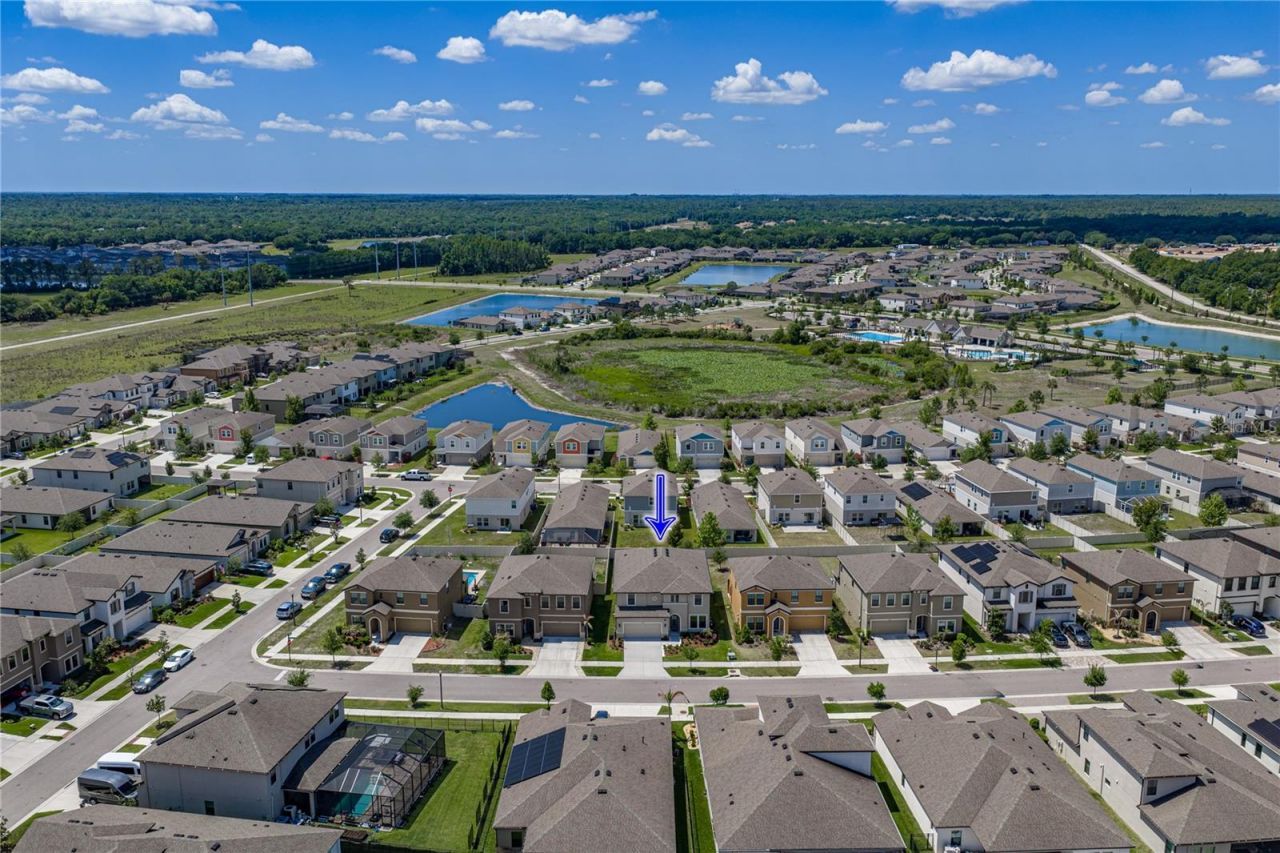14633 Red Castle Avenue, Lithia, FL 33547 Photo
