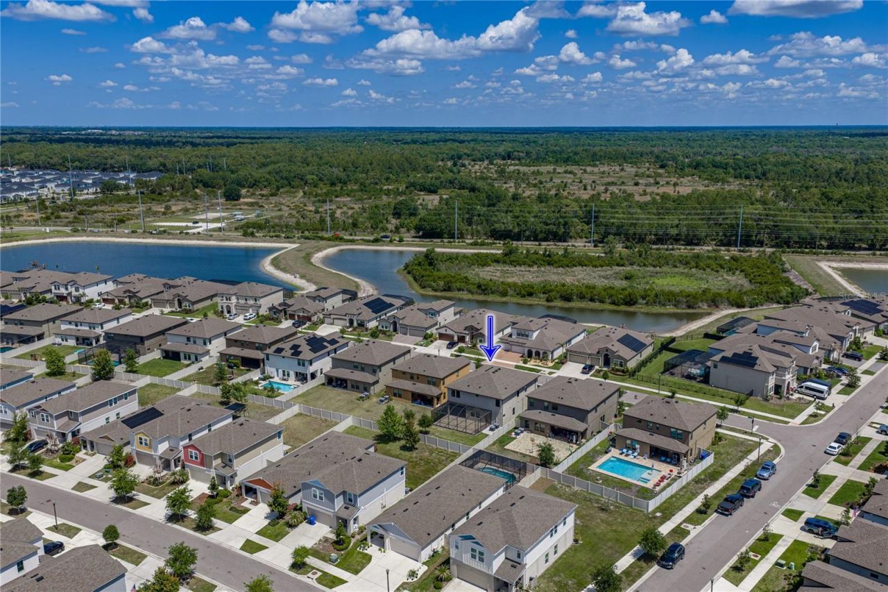 14633 Red Castle Avenue, Lithia, FL 33547 Photo